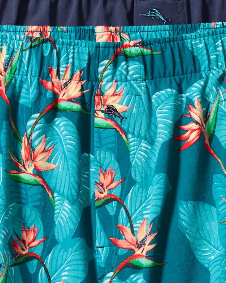 Cheap Tommy Bahama Big & Tall Tropical Print & Solid Knit Boxers—2-Pack Bright Teal