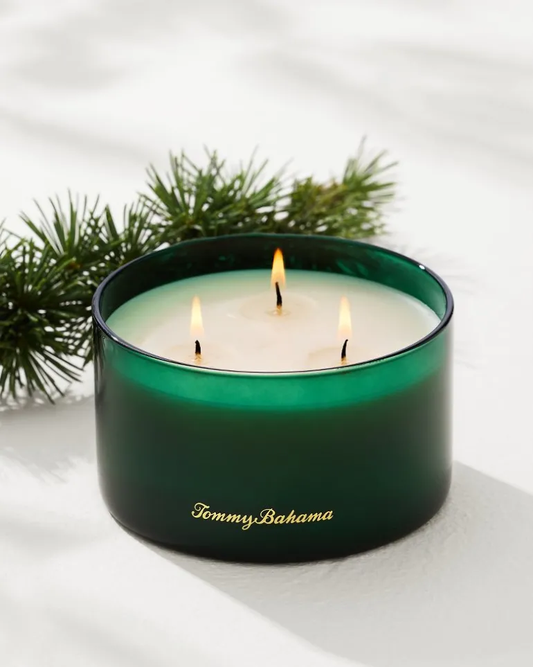 Fashion Tommy Bahama 14.5-oz. Boxed 3-Wick Candle Evergreen