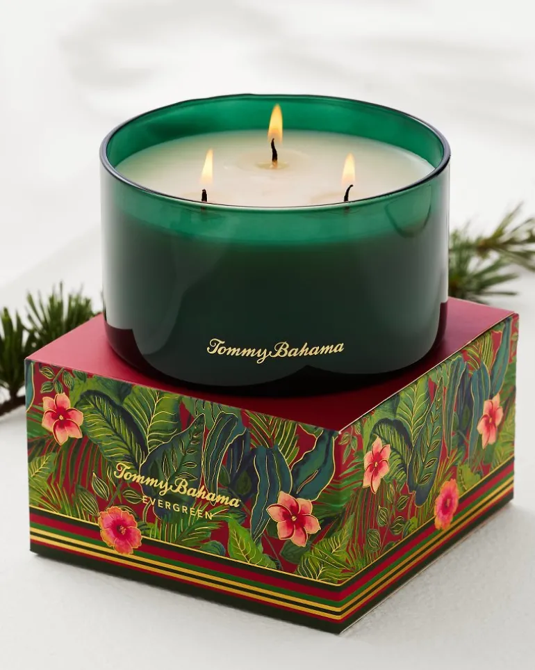 Fashion Tommy Bahama 14.5-oz. Boxed 3-Wick Candle Evergreen