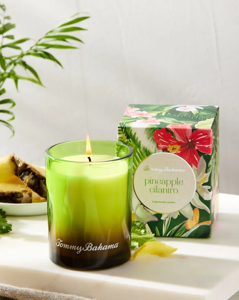 Sale Tommy Bahama 7.5-oz. Boxed Poured Candle Pineapple Cilantro